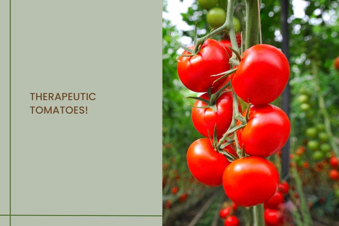 Therapeutic Tomatoes!