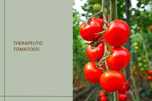 Therapeutic Tomatoes!